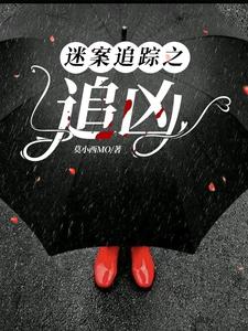 迷案追踪大结局
