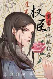 权臣之上by是非非啊简介